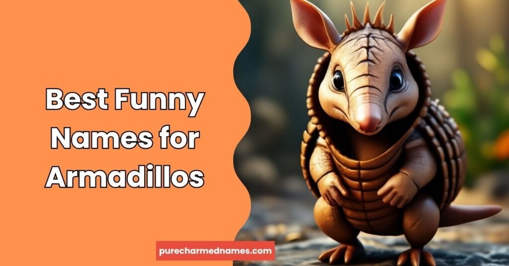 Best Funny Names for Armadillos
