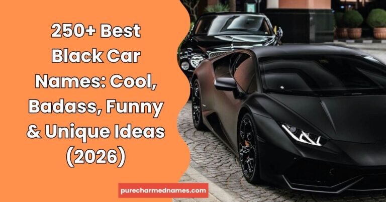 Black Car Names