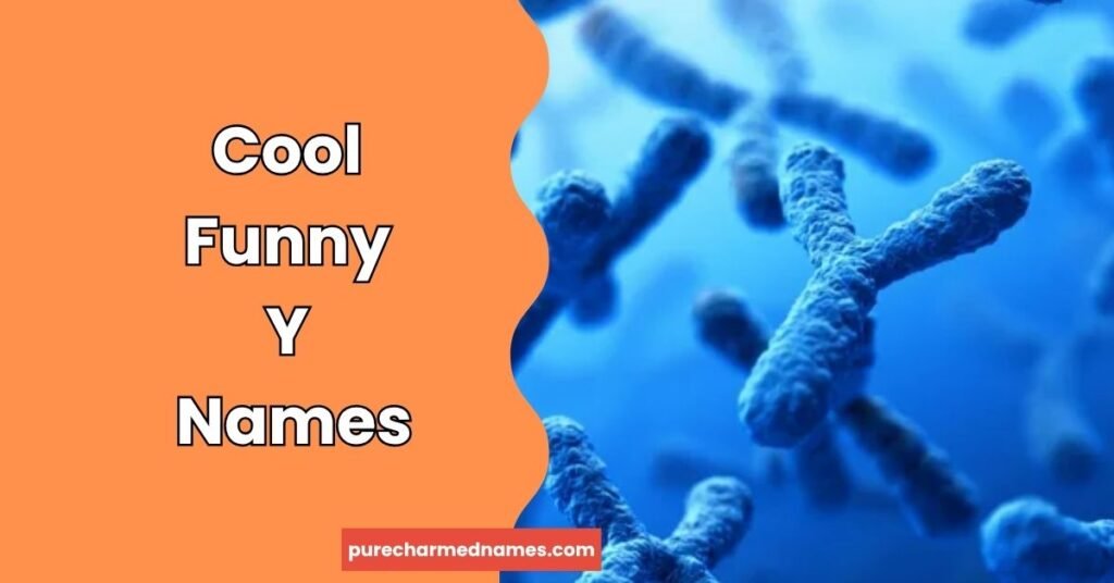 200+ Funny Names That Start With Y You'll Love 4 Cool Funny Y Names