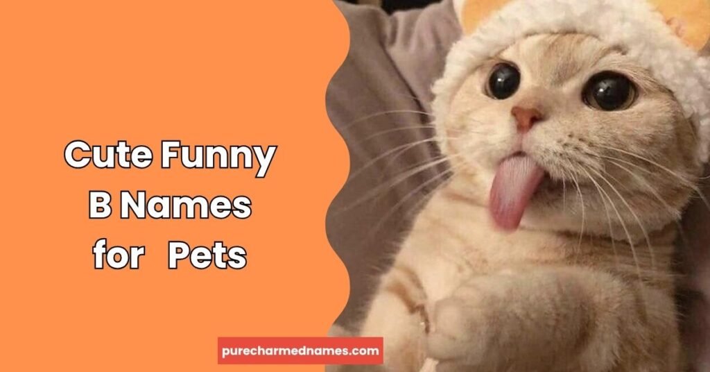 Funny Names Starting With B: 180+ Clever & Hilarious Picks 4 Cute Funny B Names for Pets