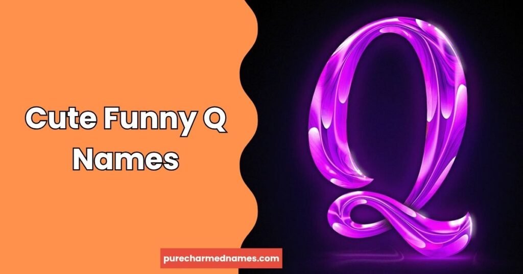 Cute Funny Q Names