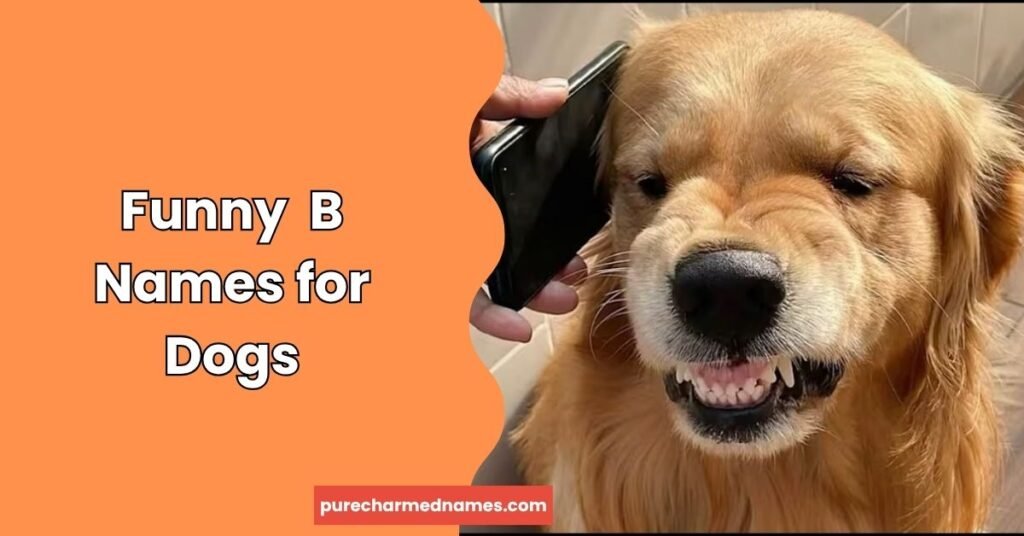 Funny Names Starting With B: 180+ Clever & Hilarious Picks 3 Funny B Names for Dogs