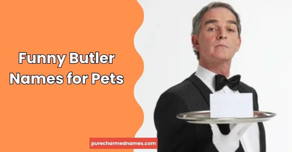 Funny Butler Names for Pets