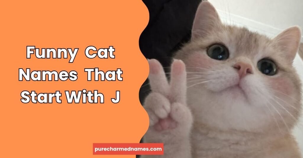 Funny Cat Names That Start With J