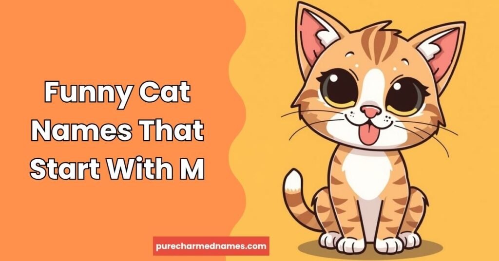 Funny Cat Names That Start With M