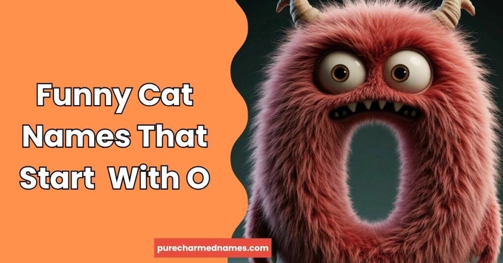 350+Funny Names That Start With O That Make People Laugh Out Loud 3 Funny Cat Names That Start With O