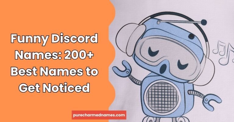 Funny Discord Names