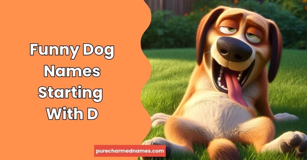 100+ Best Funny Names That Start With D to Make You Laugh 3 Funny Dog Names Starting With D