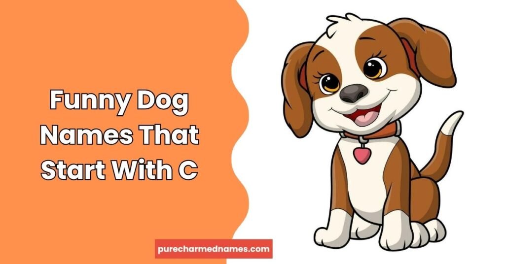 150+ Funny Names That Start With C You'll Love 3 Funny Dog Names That Start With C