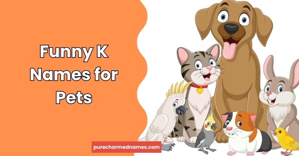 Funny K Names for Pets