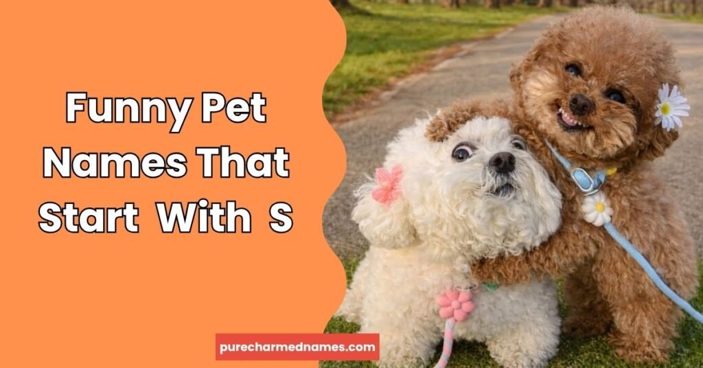 Funny Pet Names That Start With S