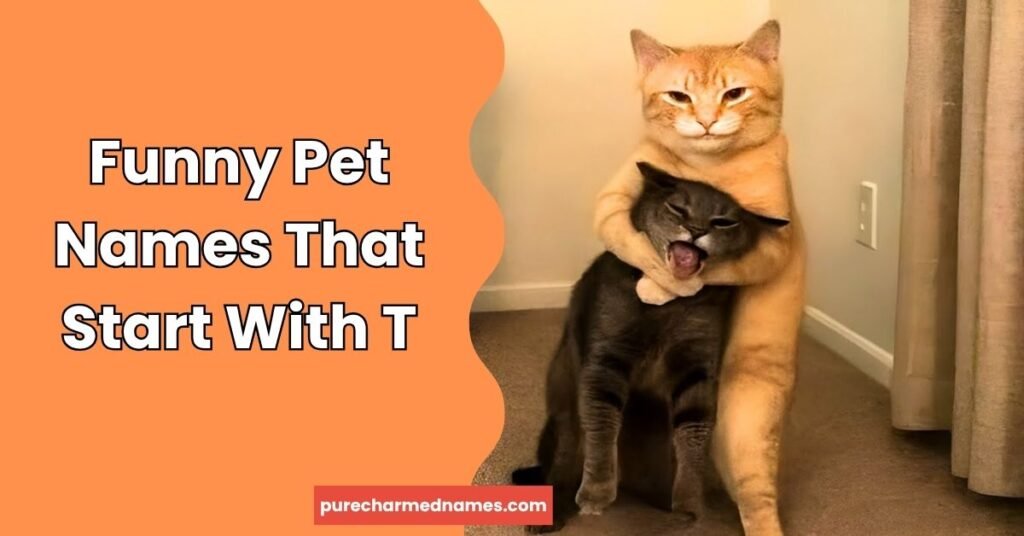 Funny Pet Names That Start With T