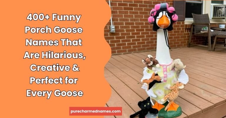 Funny Porch Goose Names