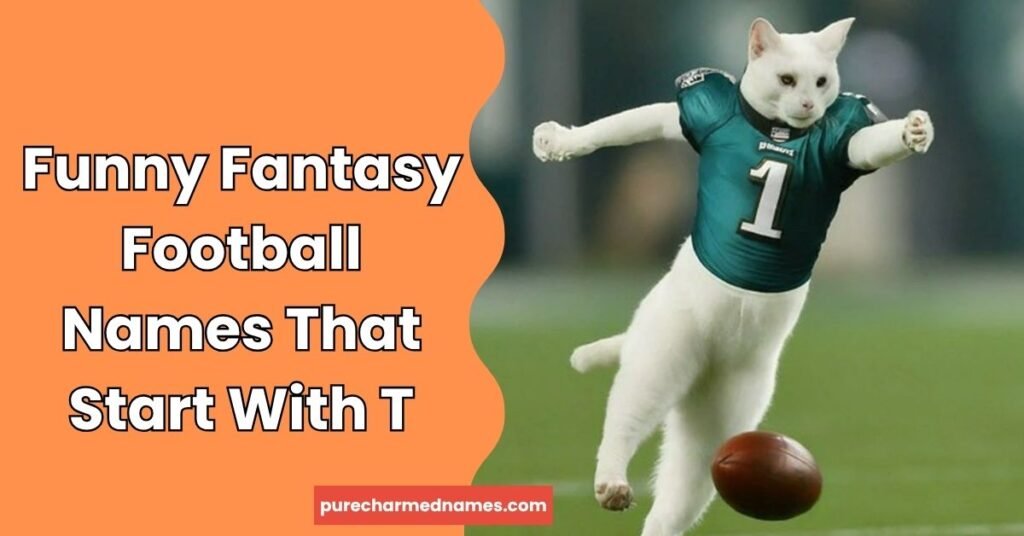 Funny Fantasy Football Names That Start With T