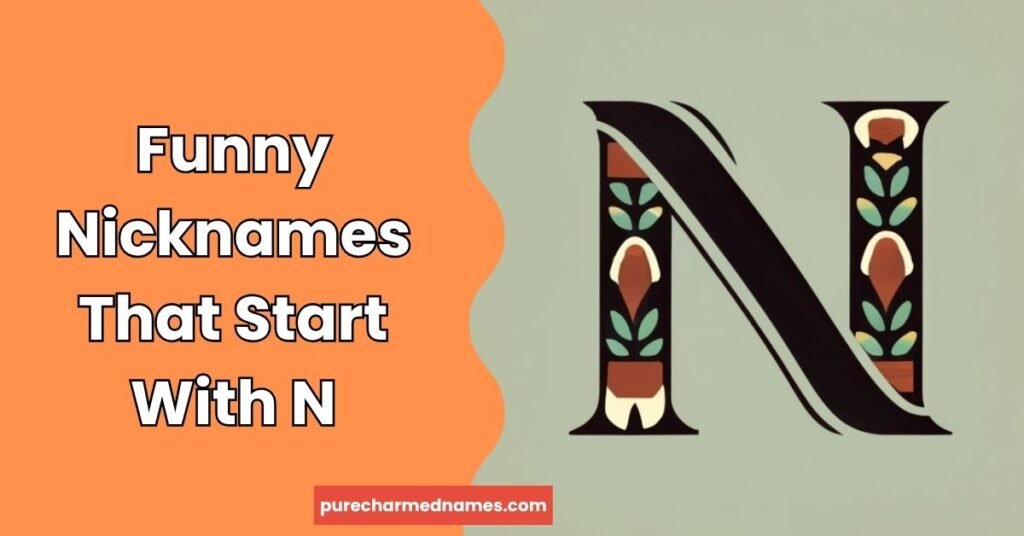 Funny Nicknames That Start With N