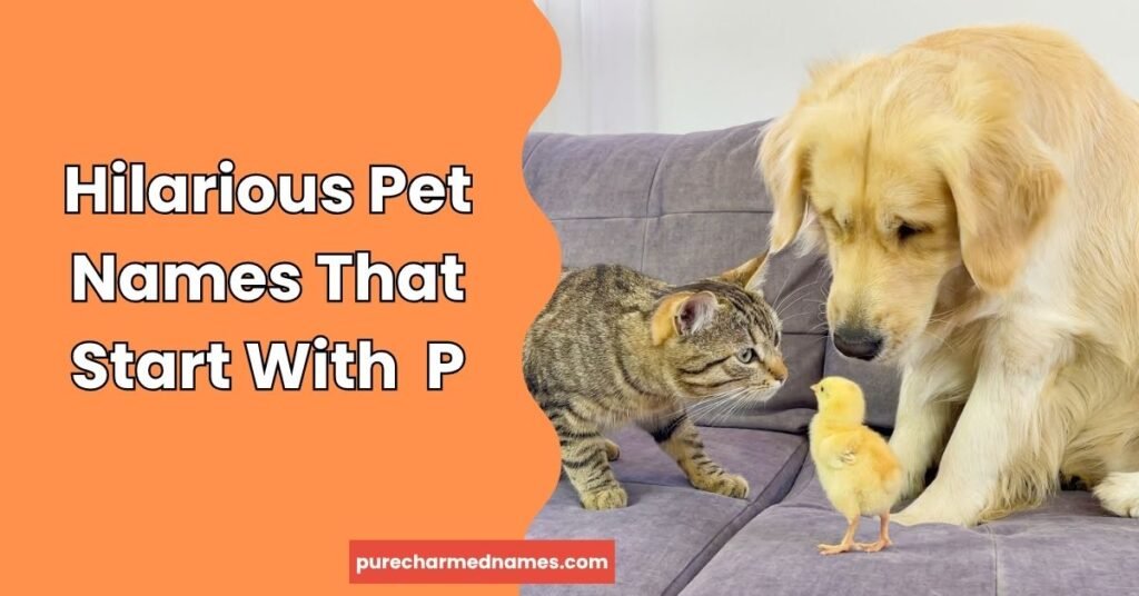 Hilarious Pet Names That Start With P