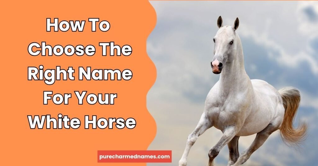 White Horse Names: 350+ Beautiful, Cool & Unique Ideas With Meanings 3 How To Choose The Right Name For Your White Horse