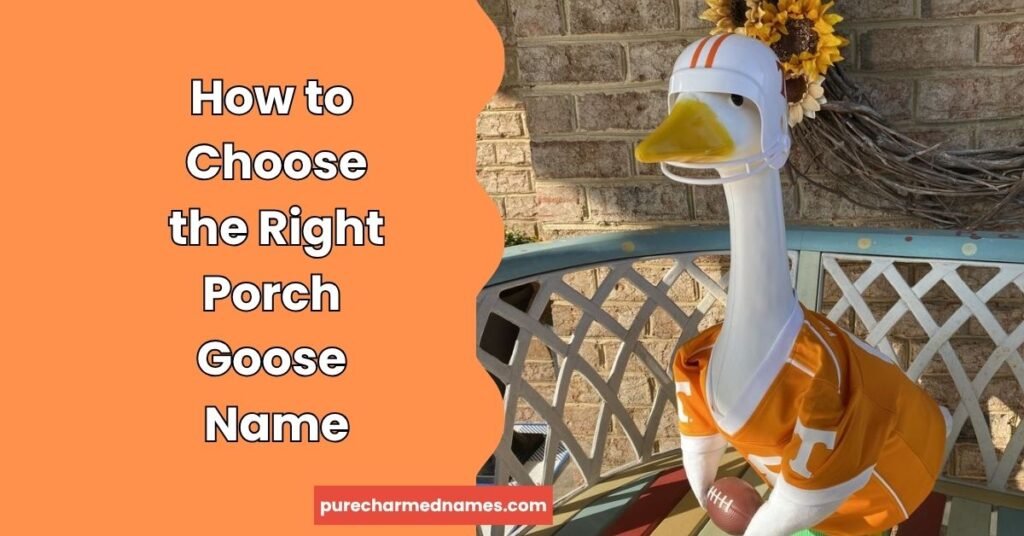 400+ Funny Porch Goose Names That Are Hilarious, Creative & Perfect for Every Goose 3 How to Choose the Right Porch Goose Name