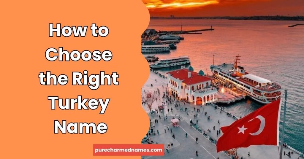350+ Turkey Names: Funny, Cute, Unique & Cool Ideas (2026) 3 How to Choose the Right Turkey Name