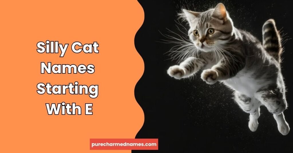 150+ Funny Names That Start With E – Hilarious & Weird 4 Silly Cat Names Starting With E
