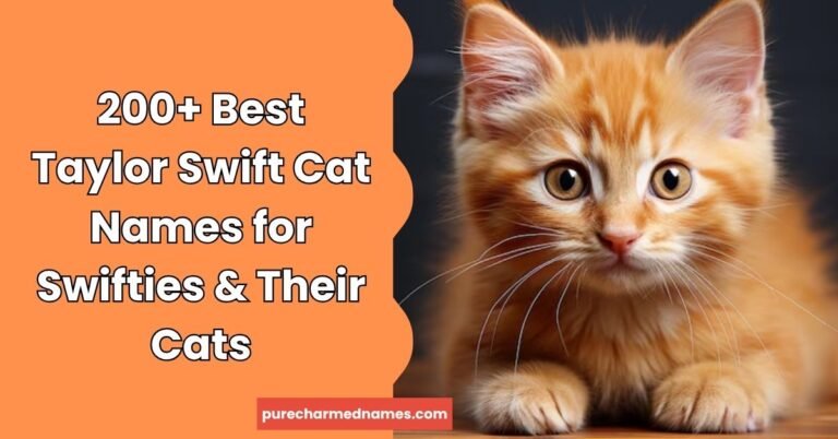 Taylor Swift Cat Names