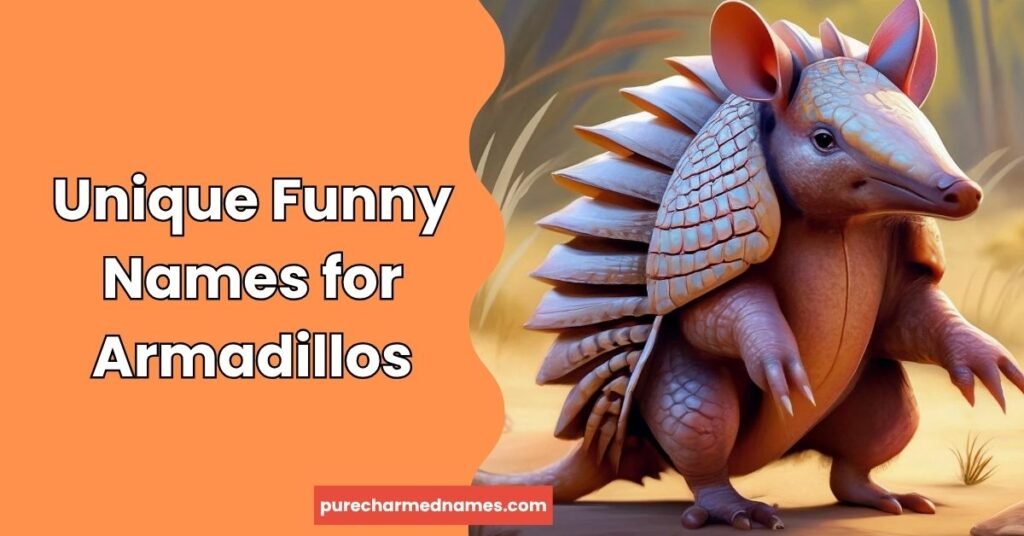 Unique Funny Names for Armadillos