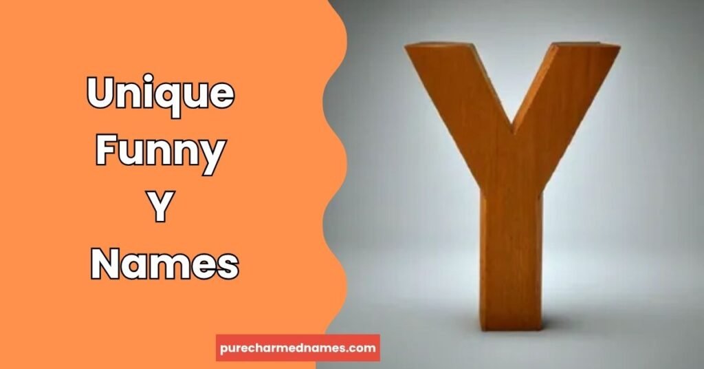 200+ Funny Names That Start With Y You'll Love 3 Unique Funny Y Names