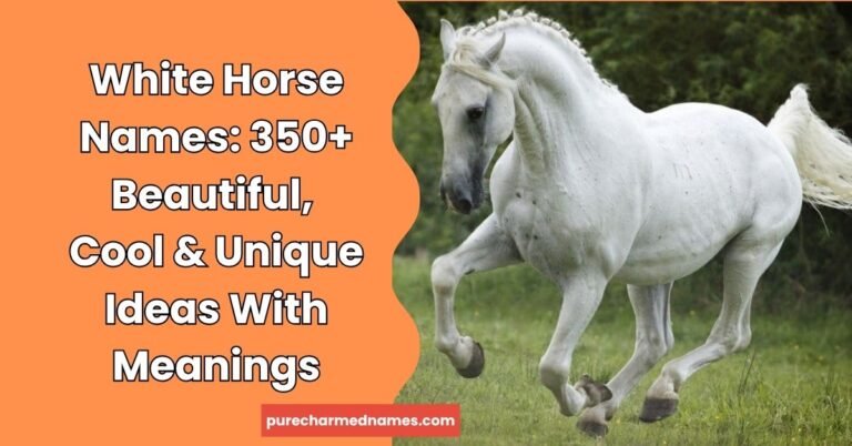 White Horse Names