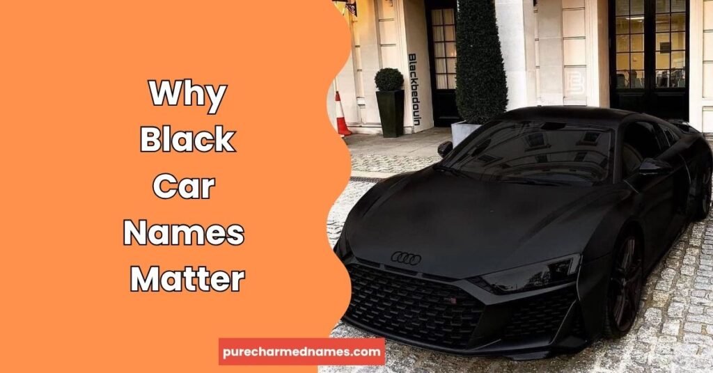 250+ Best Black Car Names: Cool, Badass, Funny & Unique Ideas (2026) 2 Why Black Car Names Matter
