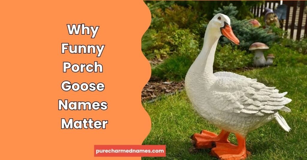 400+ Funny Porch Goose Names That Are Hilarious, Creative & Perfect for Every Goose 2 Why Funny Porch Goose Names Matter