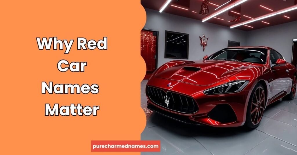 230+ Unique Red Car Names Inspired by Speed, Fire & Color 2 Why Red Car Names Matter