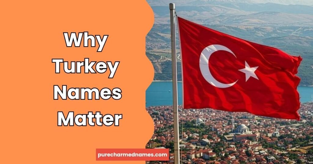 350+ Turkey Names: Funny, Cute, Unique & Cool Ideas (2026) 2 Why Turkey Names Matter
