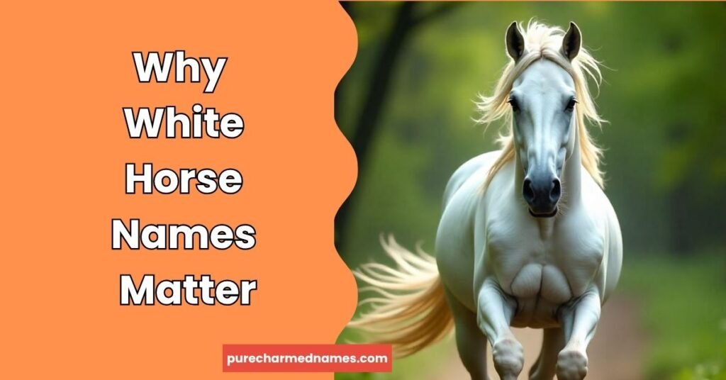 White Horse Names: 350+ Beautiful, Cool & Unique Ideas With Meanings 2 Why White Horse Names Matter