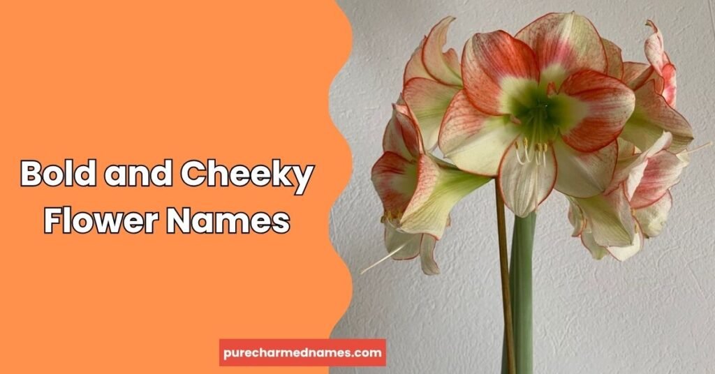 250+ Best Funny Flower Names That Will Make You Laugh (2026) 3 Bold and Cheeky Flower Names