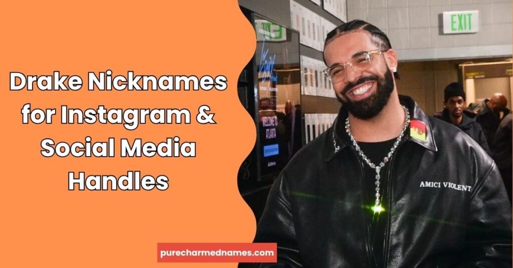 730+ Drake Nicknames: Cool, Funny & Unique Names for Fans 3 Drake Nicknames for Instagram & Social Media Handles