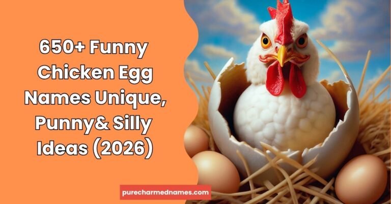 Funny Chicken Egg Names