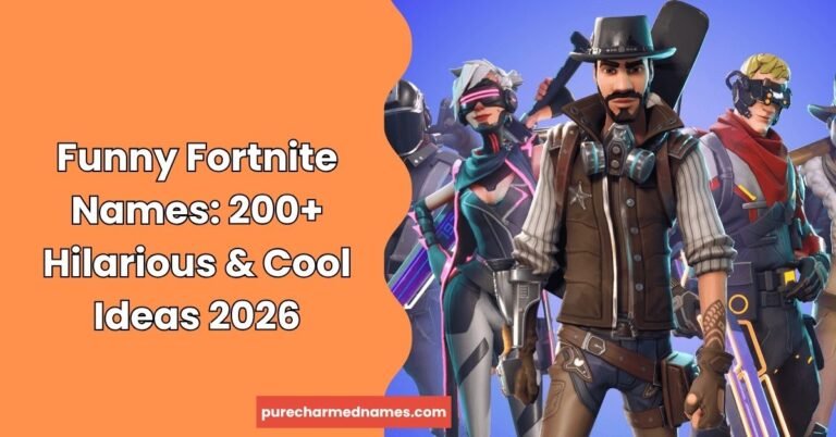 Funny Fortnite Names