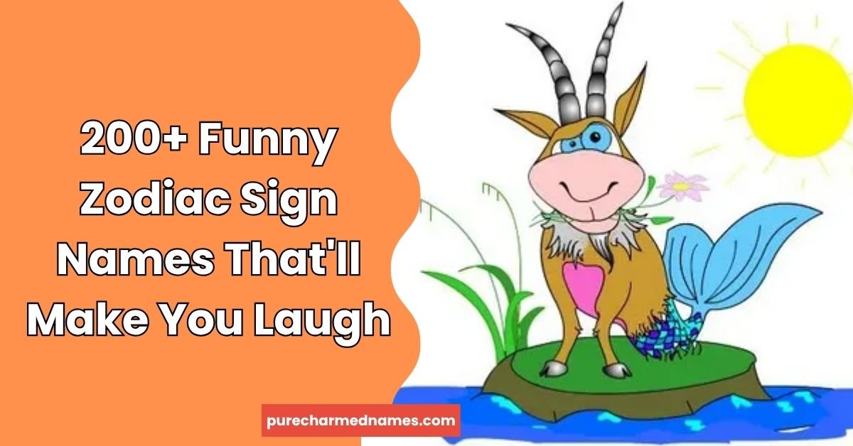 Funny Zodiac Sign Names