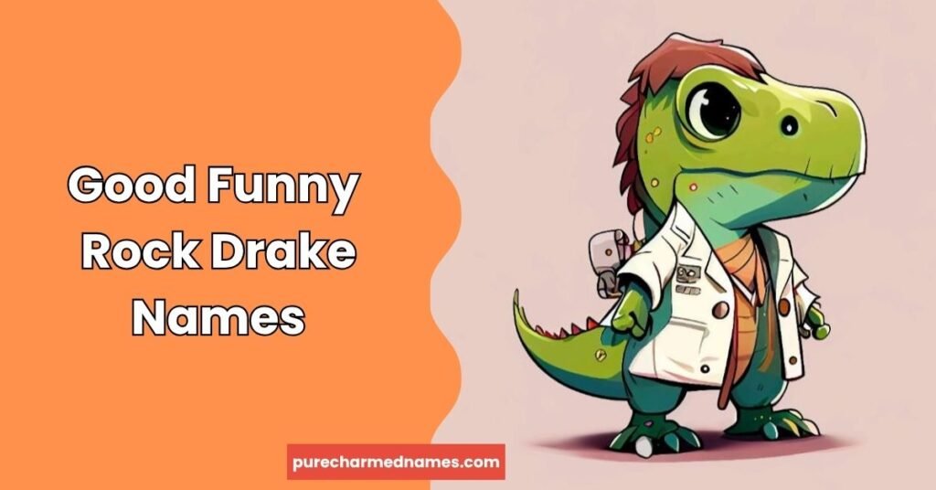 Best Funny Rock Drake Names: 200+ Hilarious Ideas for 2026 5 Good Funny Rock Drake Names