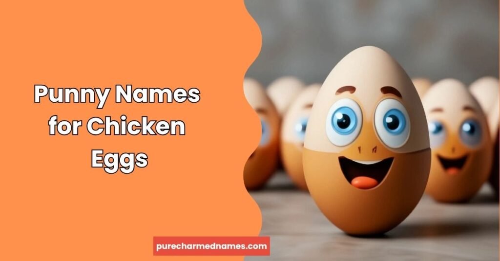 650+ Funny Chicken Egg Names – Unique, Punny & Silly Ideas (2026) 2 Punny Names for Chicken Eggs