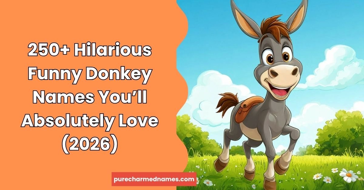 Funny Donkey Names