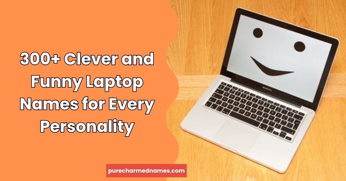 Funny Laptop Names