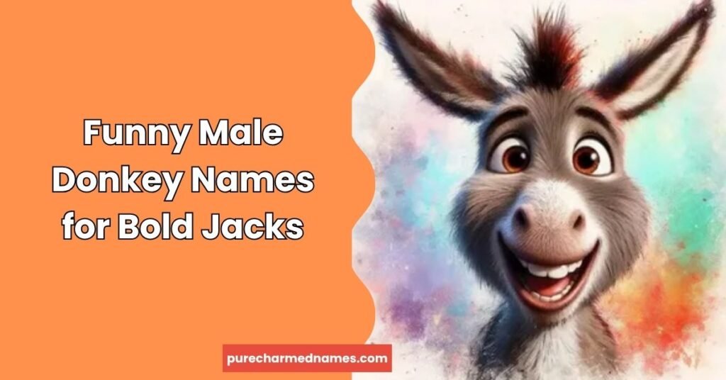 Funny Male Donkey Names for Bold Jacks