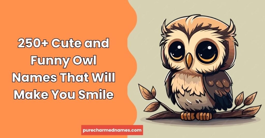 Funny Owl Names