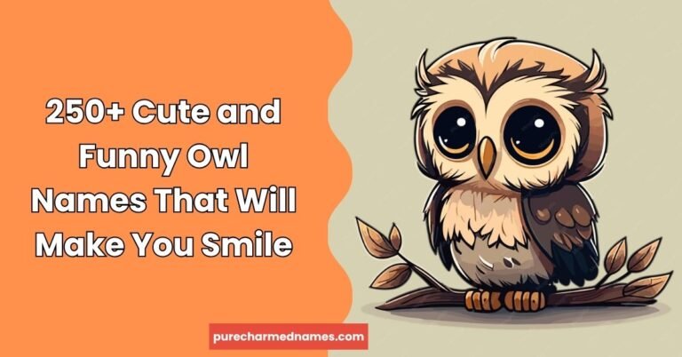 Funny Owl Names