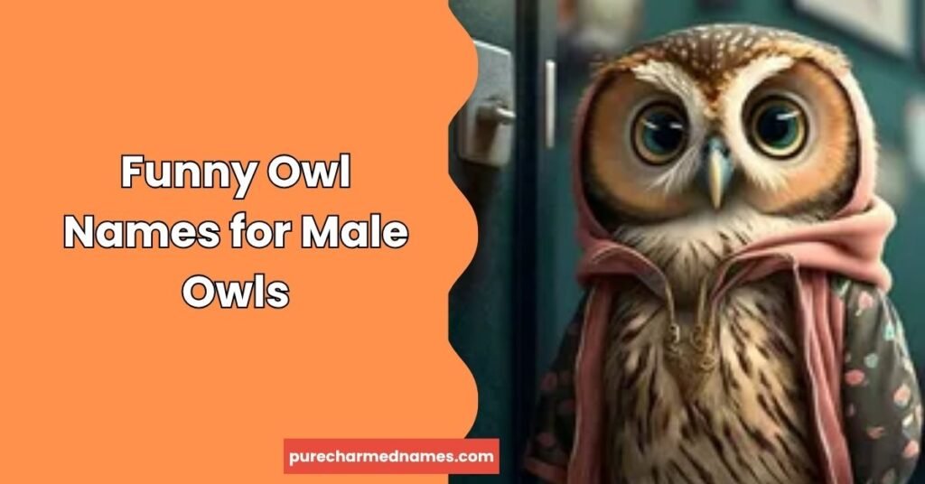 250+ Cute and Funny Owl Names That Will Make You Smile 4 Funny Owl Names for Male Owls