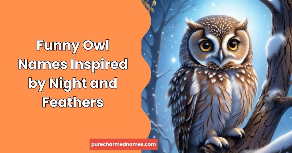 250+ Cute and Funny Owl Names That Will Make You Smile 5 Funny Owl Names Inspired by Night and Feathers