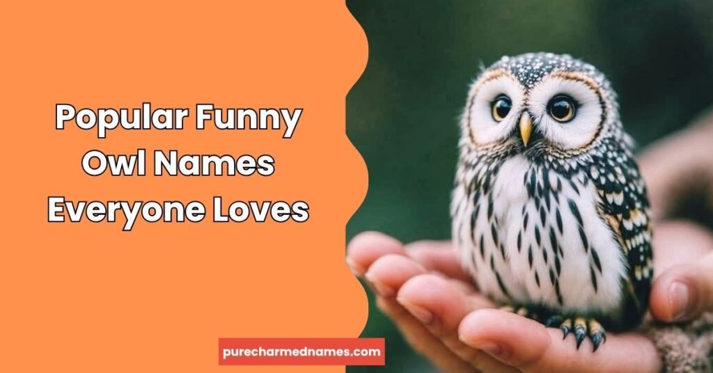 250+ Cute and Funny Owl Names That Will Make You Smile 3 Popular Funny Owl Names Everyone Loves